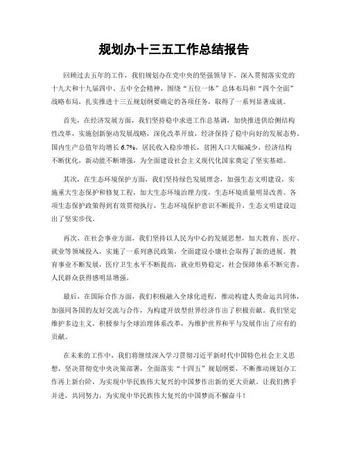 规划办十三五工作总结报告
