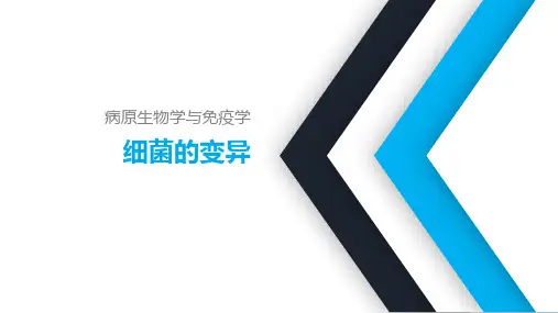 《病原生物学与免疫学》课件——4细菌的变异
