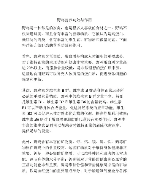 野鸡营养功效与作用
