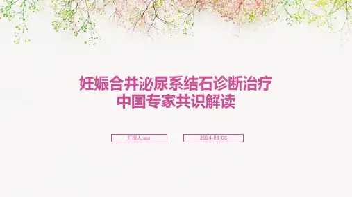 妊娠合并泌尿系结石诊断治疗中国专家共识解读PPT课件
