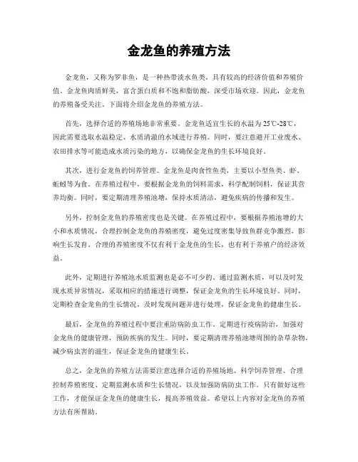 金龙鱼的养殖方法