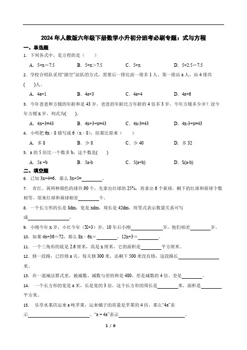 2024年人教版六年级下册数学小升初分班考必刷专题：式与方程