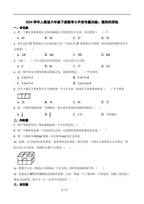 2024学年人教版六年级下册数学小升初专题训练：图形的拼组