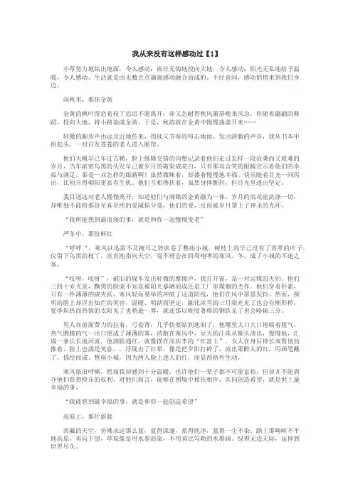 我从来没有这样感动过作文
