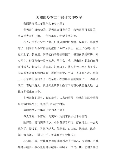 美丽的冬季二年级作文300字