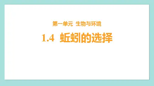 《蚯蚓的选择》PPT教学课件