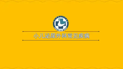 小儿泌尿外科常见疾病