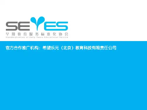 SEYES介绍(代理)