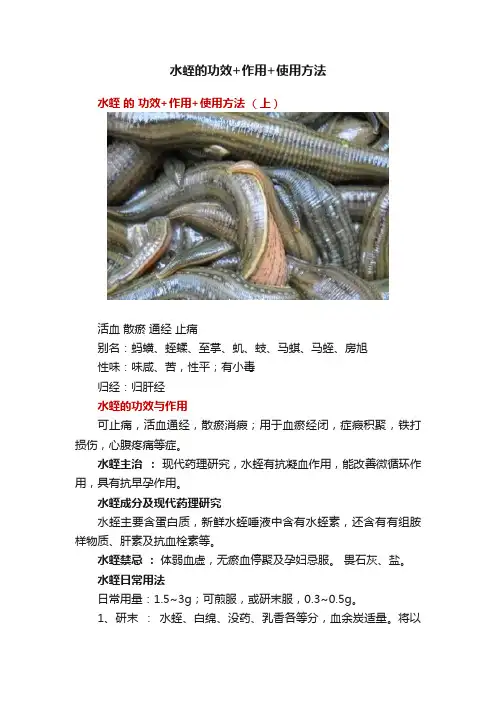 水蛭的功效+作用+使用方法