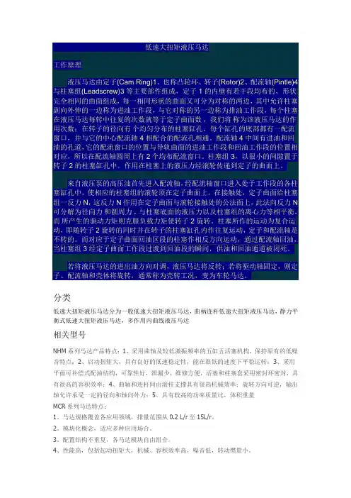 低速大扭矩液压马达