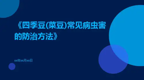 四季豆(菜豆)常见病虫害的防治方法