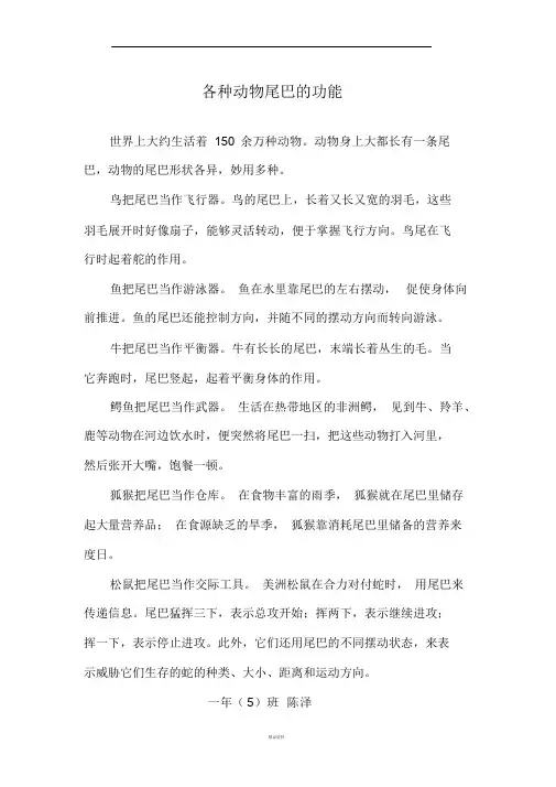 各种动物尾巴的功能!