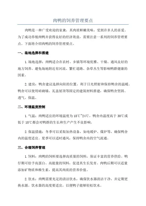 肉鸭的饲养管理要点