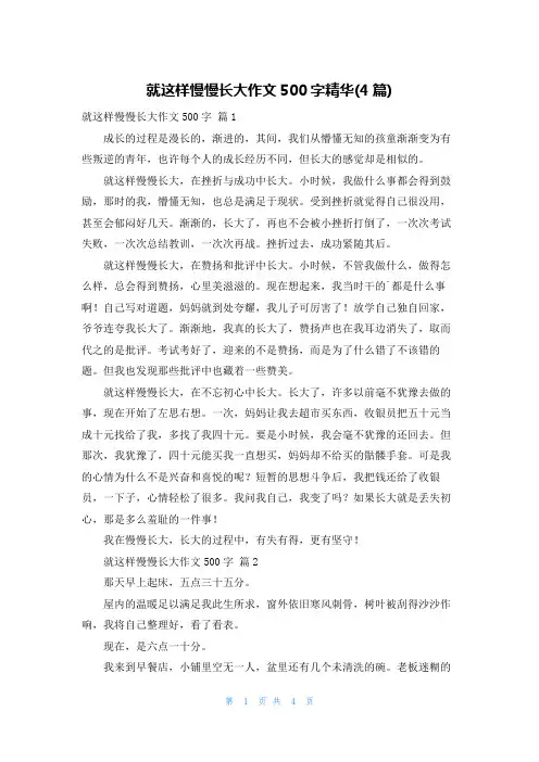 就这样慢慢长大作文500字精华(4篇)