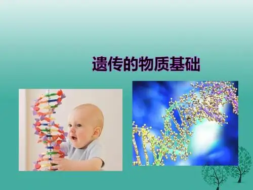 八年级生物上册 第四章 第一节《遗传的物质基础》课件 (新版)济南版