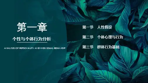 组织行为学 第一章 个性与个体行为分析
