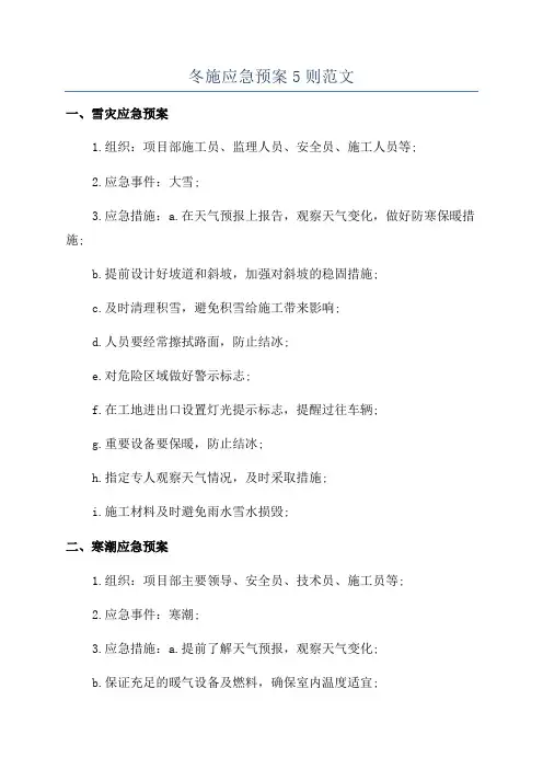 冬施应急预案5则范文