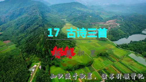 2022六年级语文上册第六单元第17课古诗三首拓展积累课件新人教版