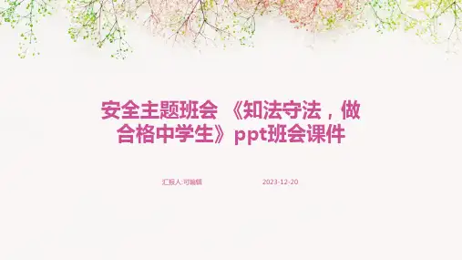 安全主题班会 《知法守法,做合格中学生》PPT班会课件 (2)