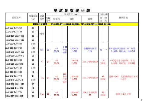 隧道参数统计表