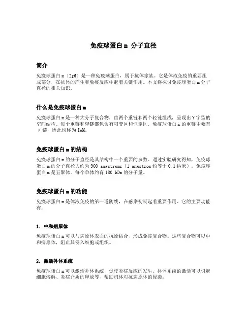 免疫球蛋白m 分子直径