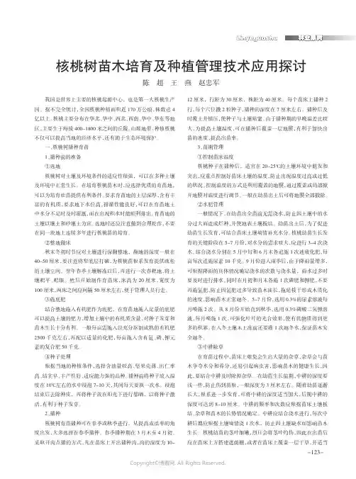 核桃树苗木培育及种植管理技术应用探讨