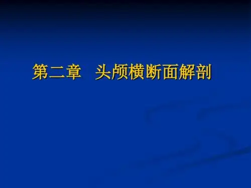颅脑横断面 CT解剖