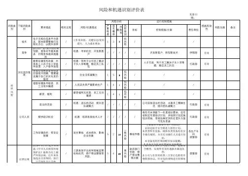 风险和机遇识别评价表