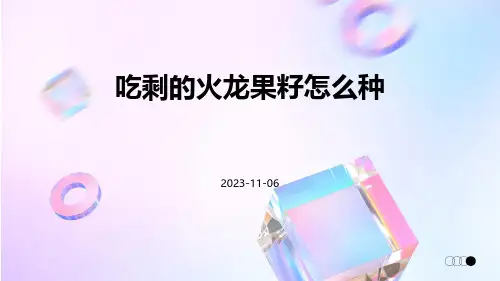 吃剩的火龙果籽怎么种