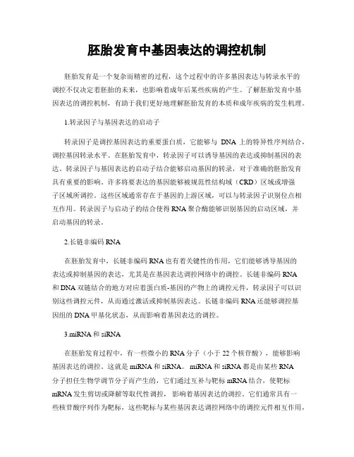 胚胎发育中基因表达的调控机制