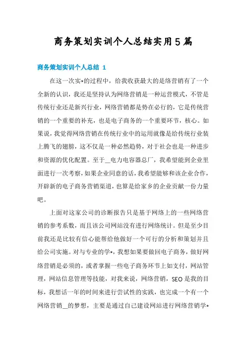商务策划实训个人总结实用5篇