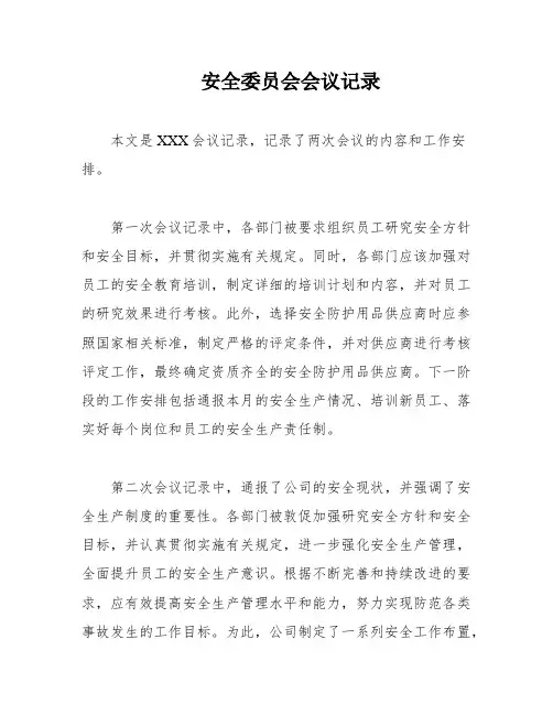 安全委员会会议记录