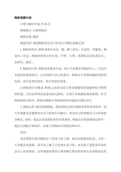 蚂蚁观察记录
