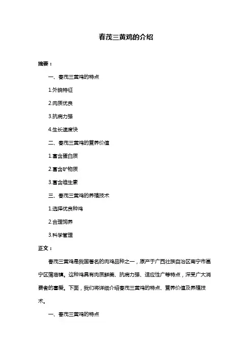 春茂三黄鸡的介绍