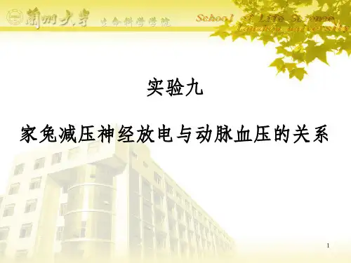实验六 家兔减压神经放电与动脉血压的关系