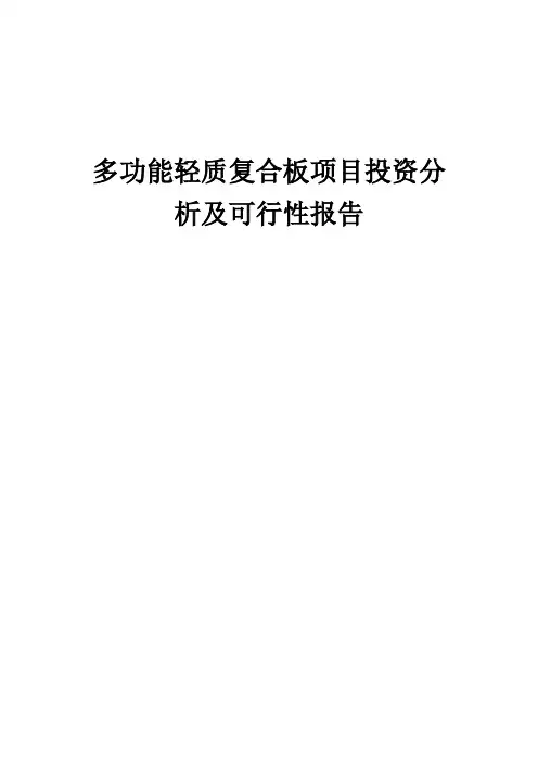 2024年多功能轻质复合板项目投资分析及可行性报告