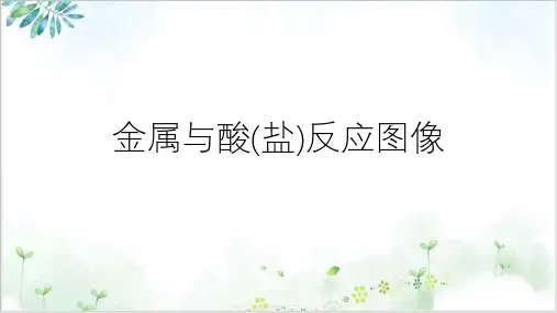 高考复习金属与酸(盐)反应图像完美课件下载
