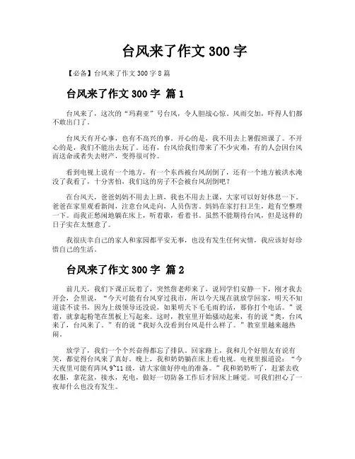 台风来了作文300字