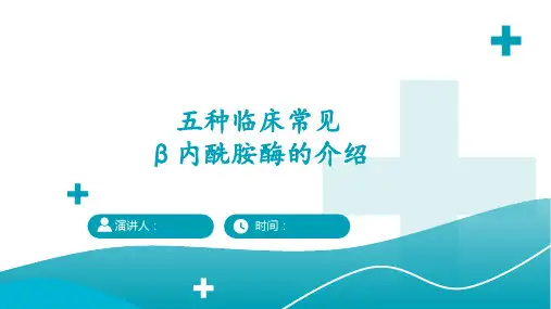 五种临床常见β内酰胺酶的介绍
