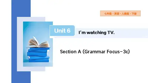 Unit+6+Section+A课件+2023-2024学年初中英语人教版新目标七年级下册
