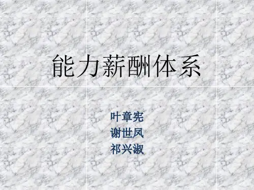 能力薪酬体系