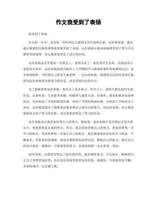 作文我受到了表扬