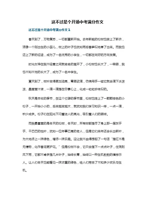 这不过是个开场中考满分作文