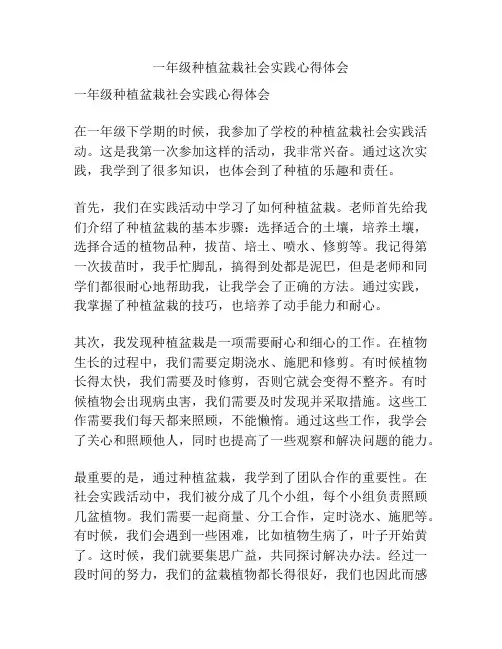 一年级种植盆栽社会实践心得体会