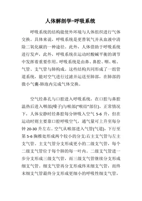 人体解剖学-呼吸系统