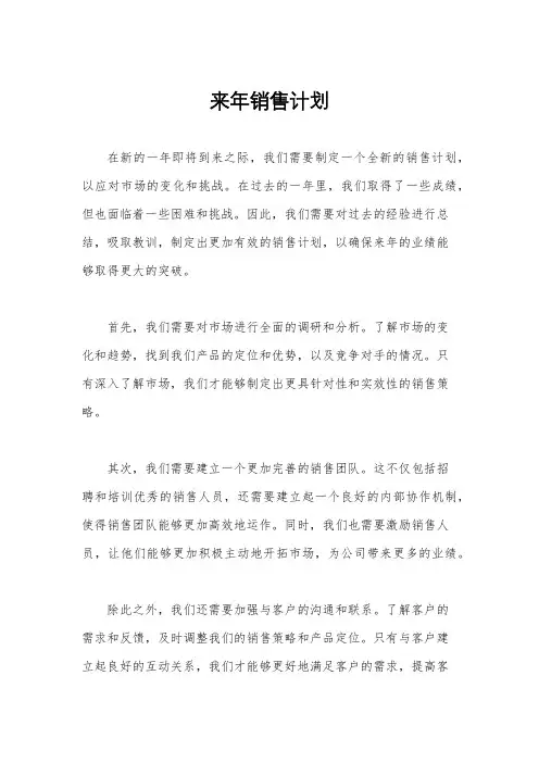 来年销售计划