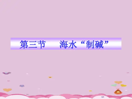 海水“制碱”PPT课件4 鲁教版