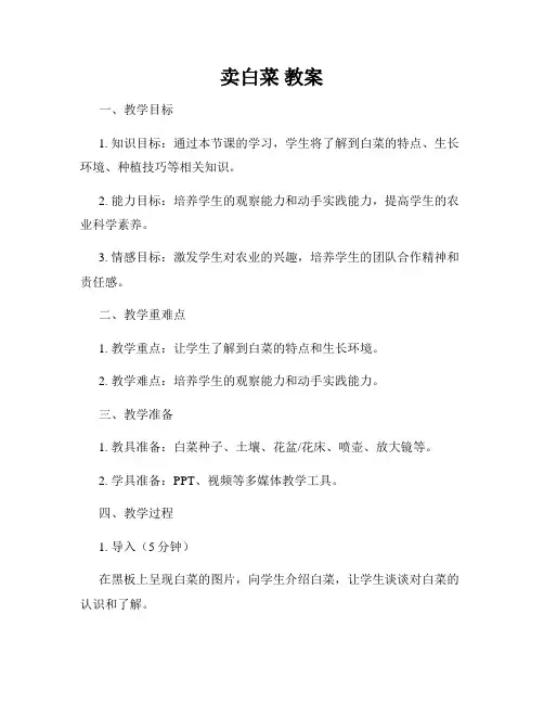 卖白菜 教案