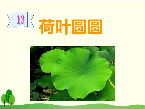 部编教材一年级下册语文《荷叶圆圆》优秀ppt课件4