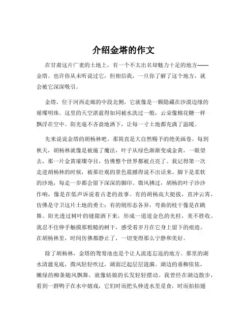 介绍金塔的作文